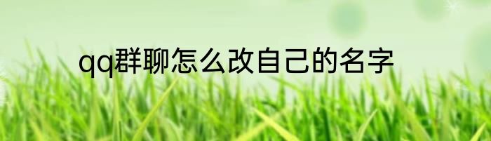 qq群聊怎么改自己的名字