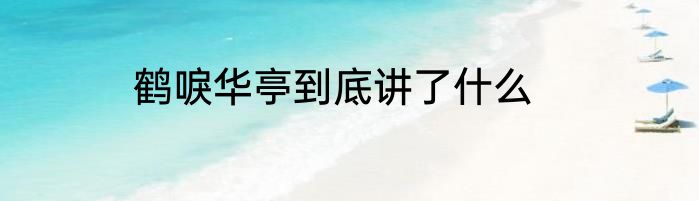 鹤唳华亭到底讲了什么