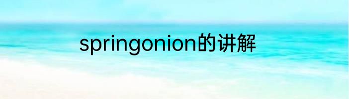 springonion的讲解