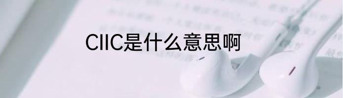 CIIC是什么意思啊