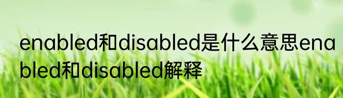 enabled和disabled是什么意思enabled和disabled解释