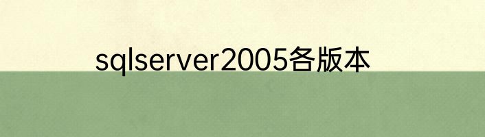 sqlserver2005各版本