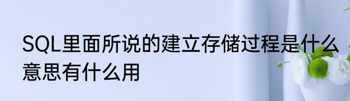 SQL里面所说的建立存储过程是什么意思有什么用