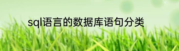 sql语言的数据库语句分类