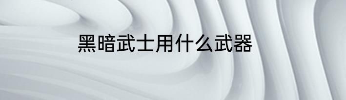 黑暗武士用什么武器