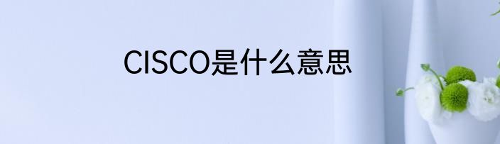 CISCO是什么意思