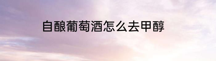 自酿葡萄酒怎么去甲醇