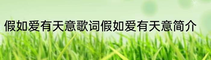 假如爱有天意歌词假如爱有天意简介