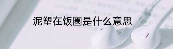 泥塑在饭圈是什么意思