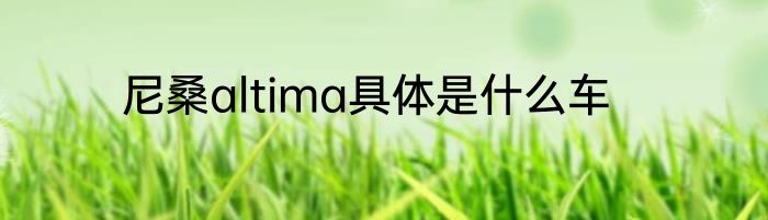尼桑altima具体是什么车