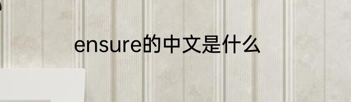 ensure的中文是什么
