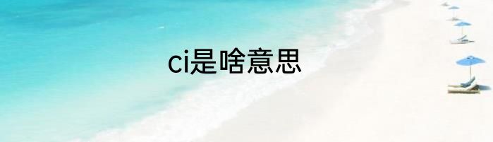 ci是啥意思