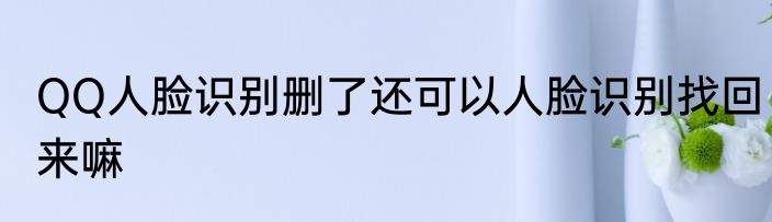 QQ人脸识别删了还可以人脸识别找回来嘛