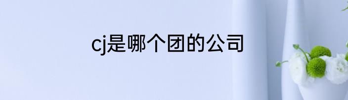 cj是哪个团的公司