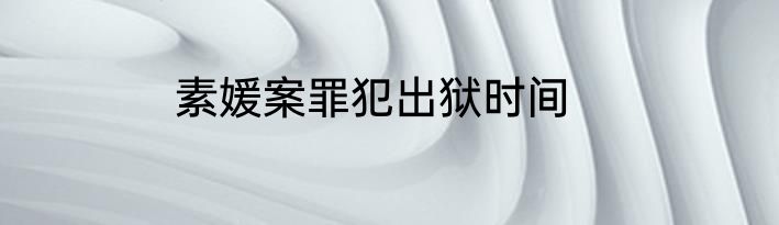 素媛案罪犯出狱时间