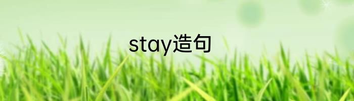 stay造句