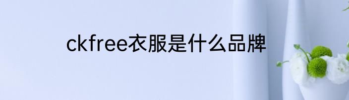 ckfree衣服是什么品牌