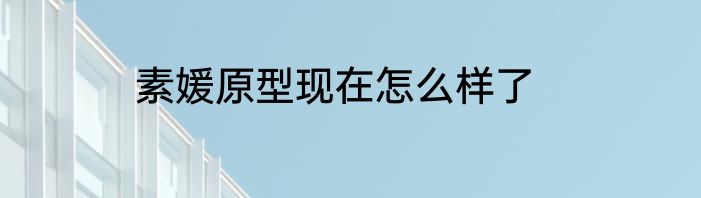 素媛原型现在怎么样了