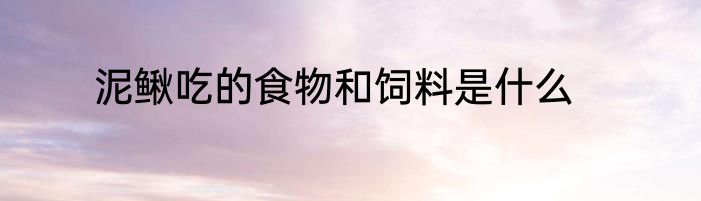 泥鳅吃的食物和饲料是什么