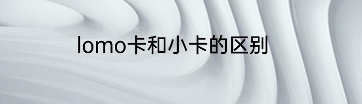 lomo卡和小卡的区别