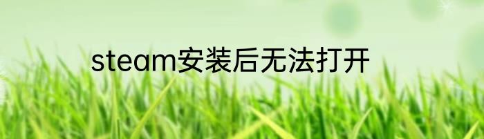steam安装后无法打开