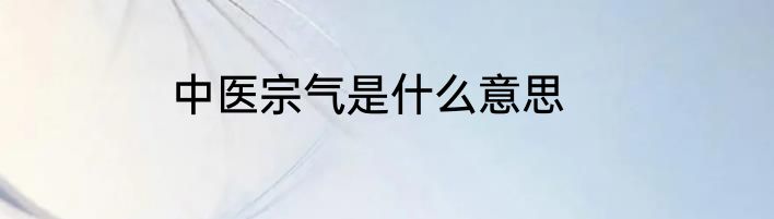 中医宗气是什么意思