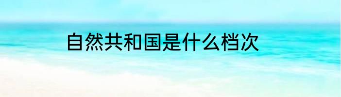 自然共和国是什么档次