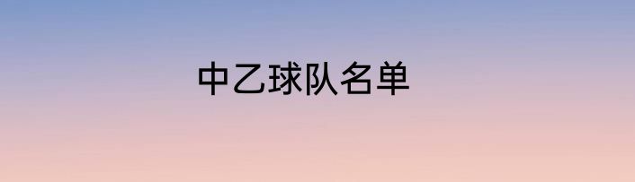 中乙球队名单