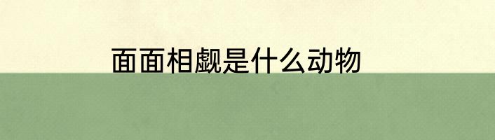 面面相觑是什么动物