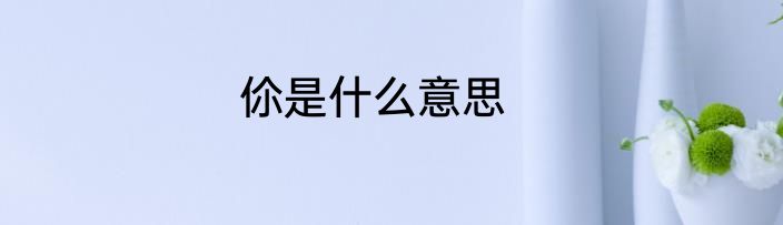 伱是什么意思
