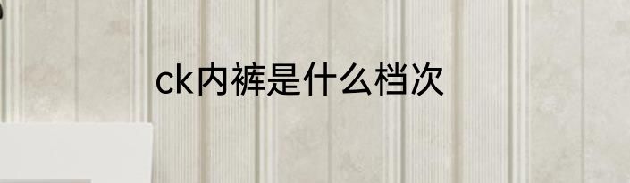 ck内裤是什么档次