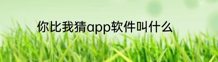 你比我猜app软件叫什么