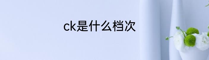 ck是什么档次