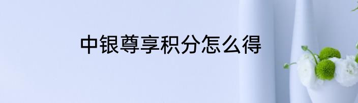 中银尊享积分怎么得