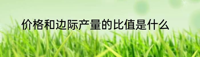 价格和边际产量的比值是什么