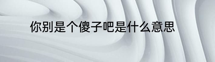 你别是个傻子吧是什么意思