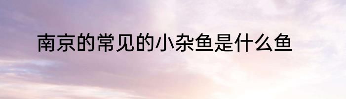 南京的常见的小杂鱼是什么鱼