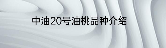 中油20号油桃品种介绍