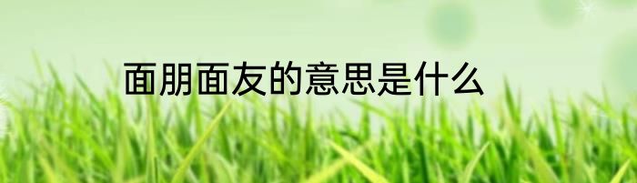 面朋面友的意思是什么
