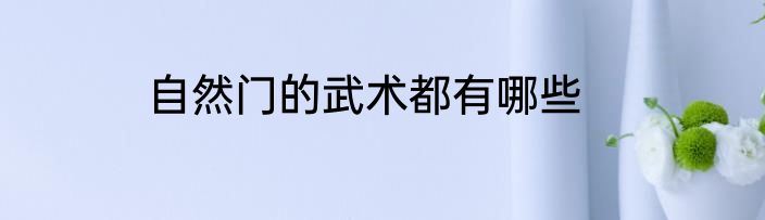 自然门的武术都有哪些