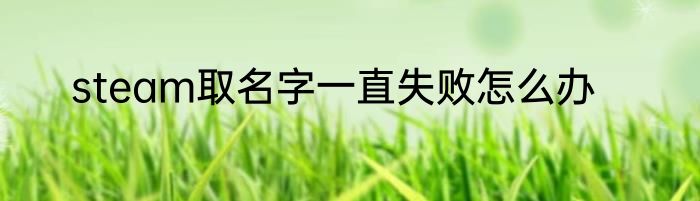 steam取名字一直失败怎么办