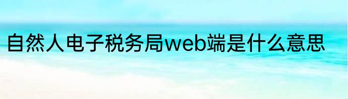 自然人电子税务局web端是什么意思