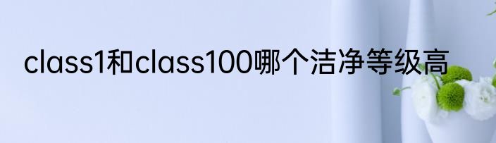 class1和class100哪个洁净等级高