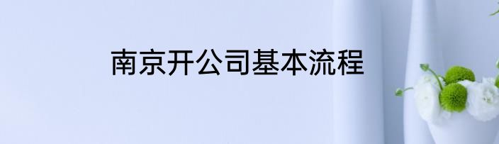南京开公司基本流程