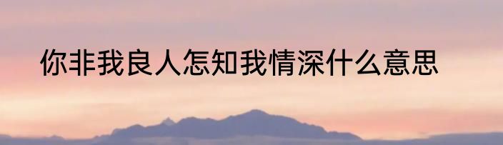 你非我良人怎知我情深什么意思