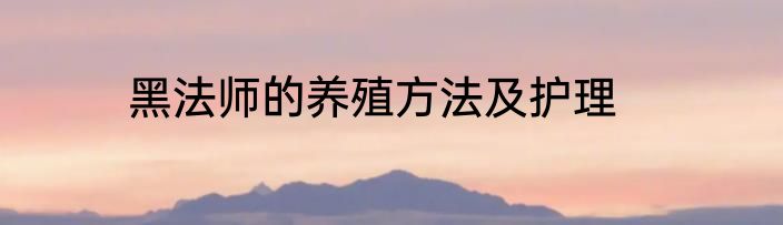 黑法师的养殖方法及护理