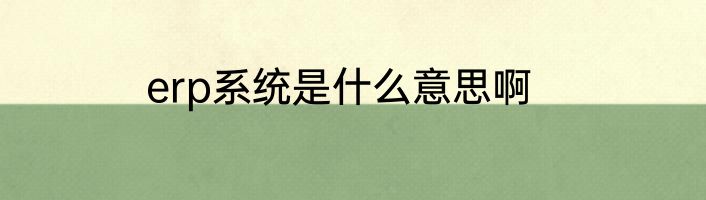 erp系统是什么意思啊