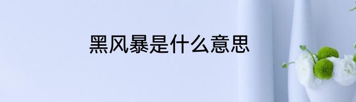 黑风暴是什么意思