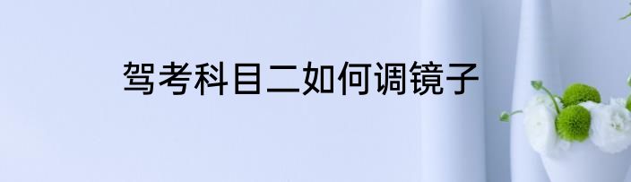 驾考科目二如何调镜子