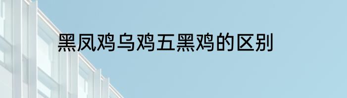 黑凤鸡乌鸡五黑鸡的区别